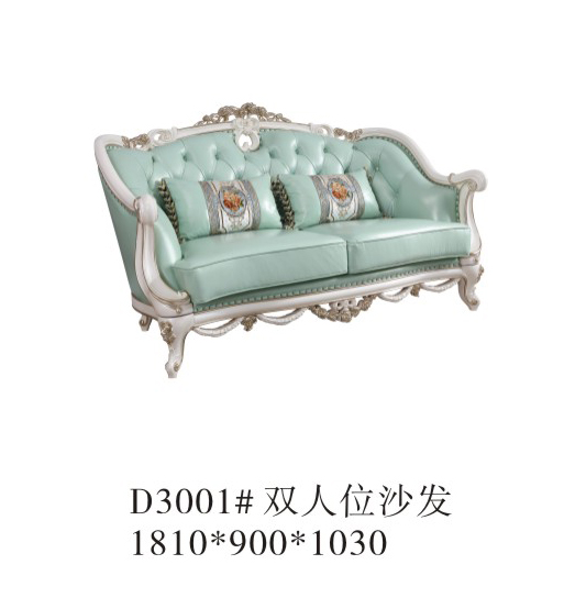 Sofa đôi D3001