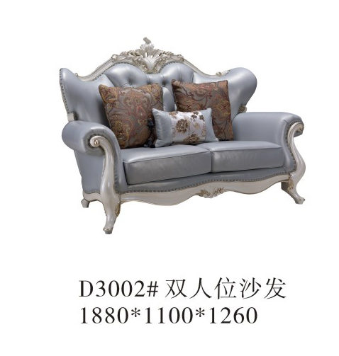 Sofa đôi D3002